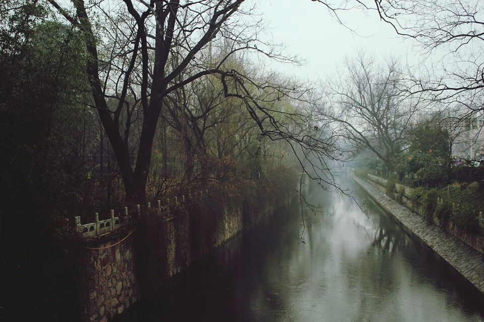 tree, plant, water, river, nature, morning, mist, beauty in nature, tranquility, scenics - nature, no people, fog, forest, branch, reflection, tranquil scene, waterway, land, bare tree, body of water, environment, outdoors, day, growth, stream, non-urban scene, sky, natural environment, landscape