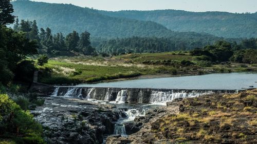 Scenic view of waterfall in forest