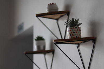 Plants in pots as an interior design in a room with a minimalist concept