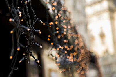 Close-up of illuminated christmas tree at night