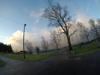 Road amidst bare trees against sky