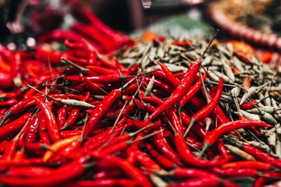 Close-up of red chili peppers