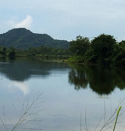 Scenic view of lake by trees against sky