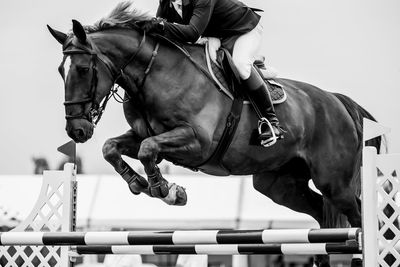 Horse jumping, equestrian sports, show jumping competition themed photograph.