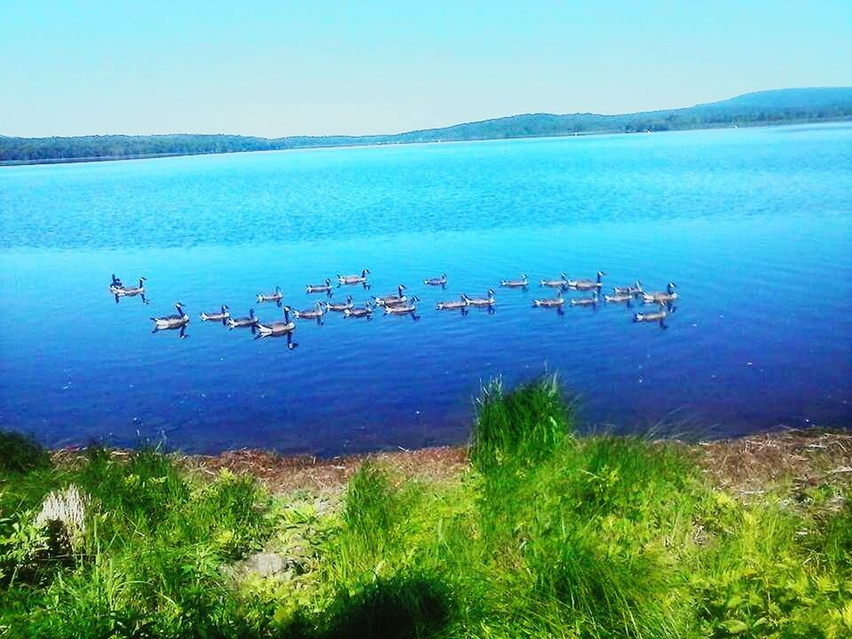 SCENIC VIEW OF LAKE AGAINST BLUE SKY AND CLOUDS