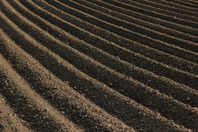 High angle view of field