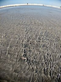 Scenic view of beach