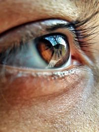 Close-up of human eye