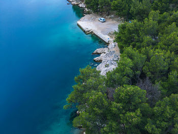 High angle view of trees by sea