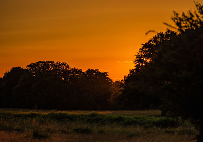 Silhouette trees on field against orange sky