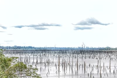 Scenic view of water against sky