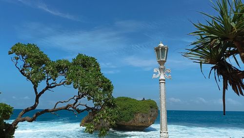 Palm tree by sea against sky