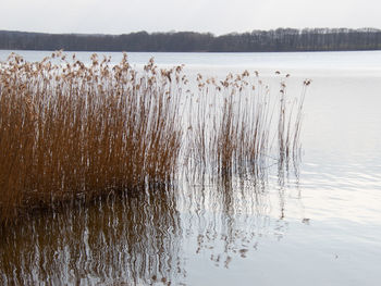Scenic view of lake against sky during winter