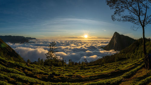 Scenic view of landscape against sky during sunset
