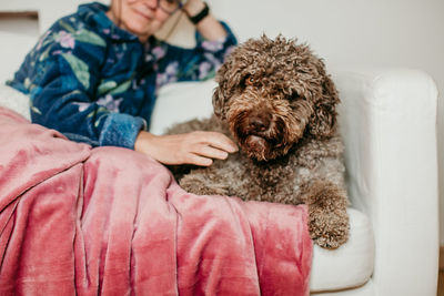 Midsection of woman with dog on sofa at home