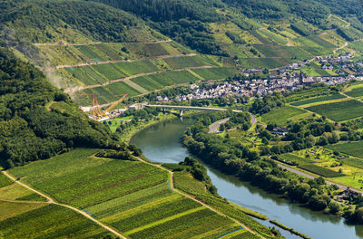 Neef an der mosel