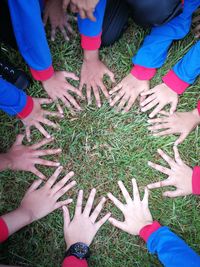 High angle view of hands on grass