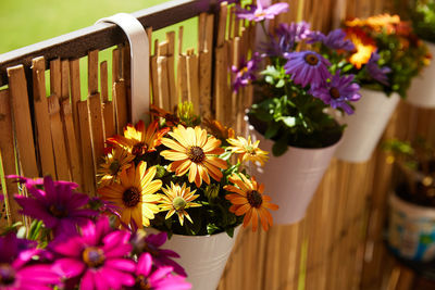 Close-up of flowers