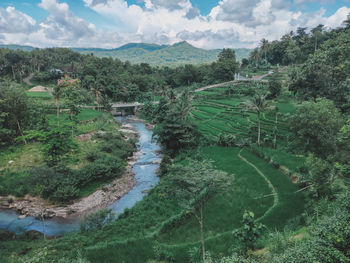 Scenic view of landscape against sky green field rice paddy with the river