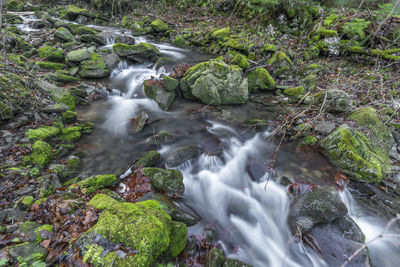 Water flowing through rocks in forest