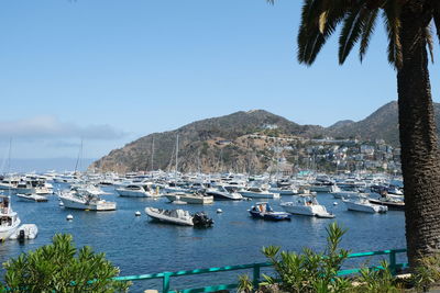 Sailboats moored in harbor against clear sky with mountains in distance 