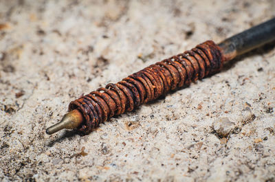 Inside the old pen with rust on the spring and placed on the cement floor.