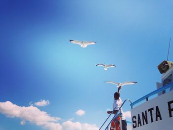 Man feeding seagulls flying over boat