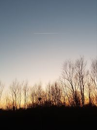 Silhouette bare trees against clear sky during sunset