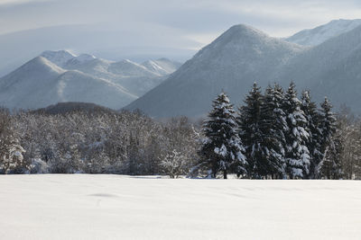 Scenic view of snow covered mountains against sky