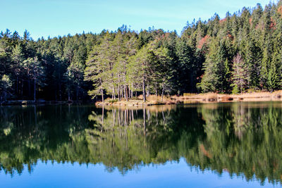 Scenic view of lake by trees against sky