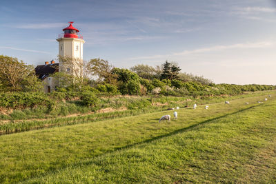 Lighthouse on field by building against sky