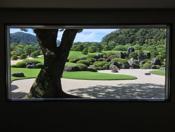 Trees on landscape seen through window