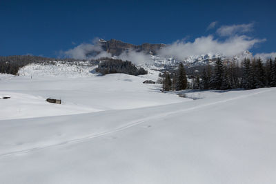 Beautiful day in the mountains with snow-covered fir trees and a snowy mountain panorama.