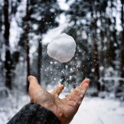 Midsection of person hand on snow covered tree during winter