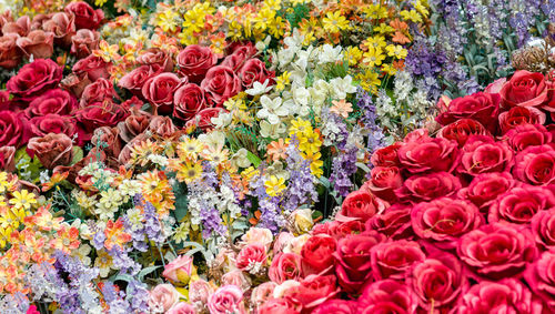 Full frame shot of multi colored roses