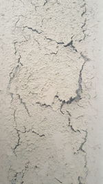 Close-up of cracked wall