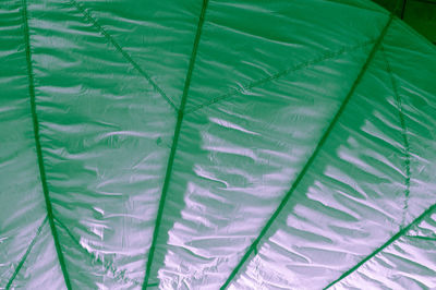 Close-up of green leaf