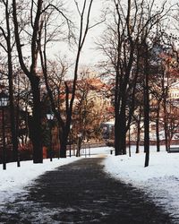 Bare trees on snow covered landscape