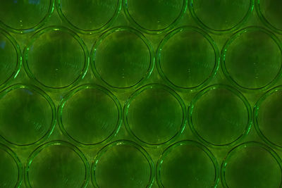 Full frame shot of patterned green glass wall