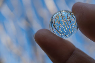 Close-up of hand holding glass against blurred background