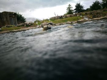 Surface level of river with buildings in background