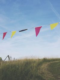 Flags on field against sky