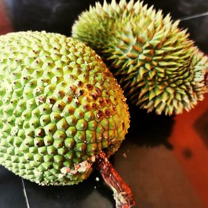 Bread fruit and durian fruit