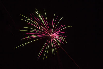 Low angle view of firework display in sky at night