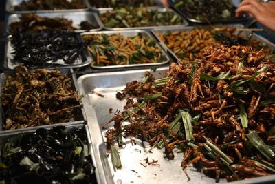 Close-up of fried insects