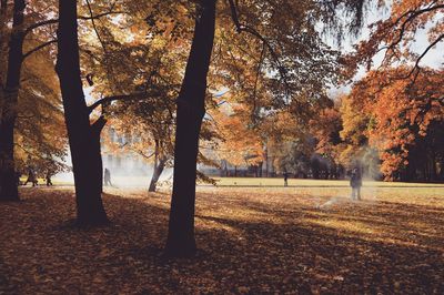 Trees on field during autumn