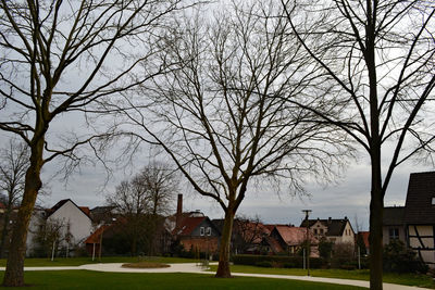 Bare trees and houses against sky