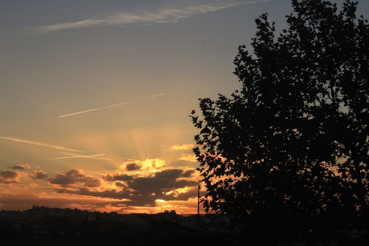 sunset, nature, beauty in nature, tree, silhouette, sky, tranquility, scenics, no people, outdoors