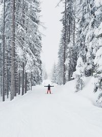 Man on snowboard in forest