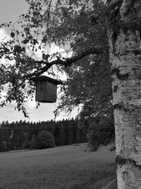 Built structure hanging on tree against sky